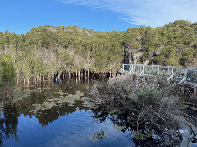 Narawntapu NP