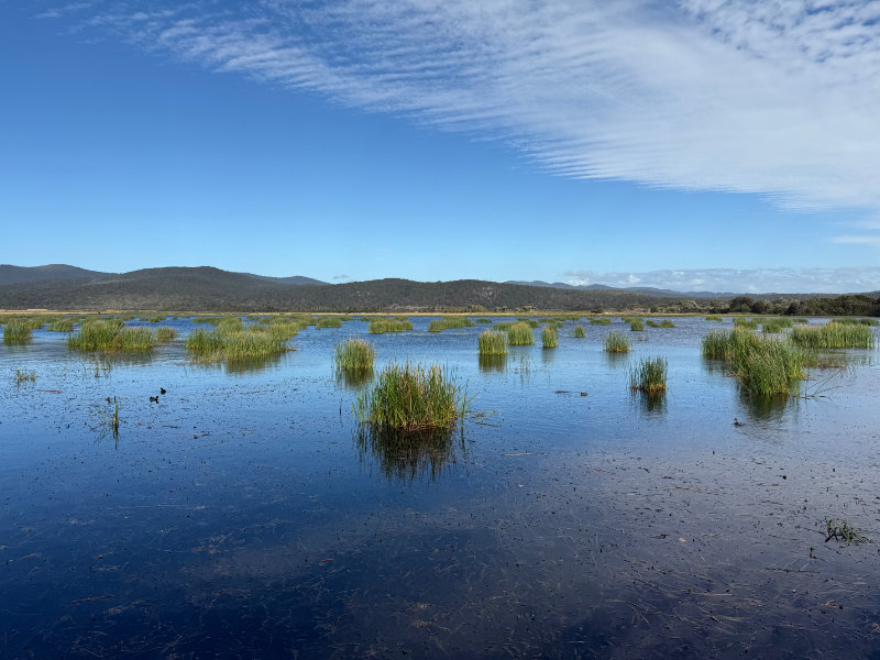 Narawntapu NP