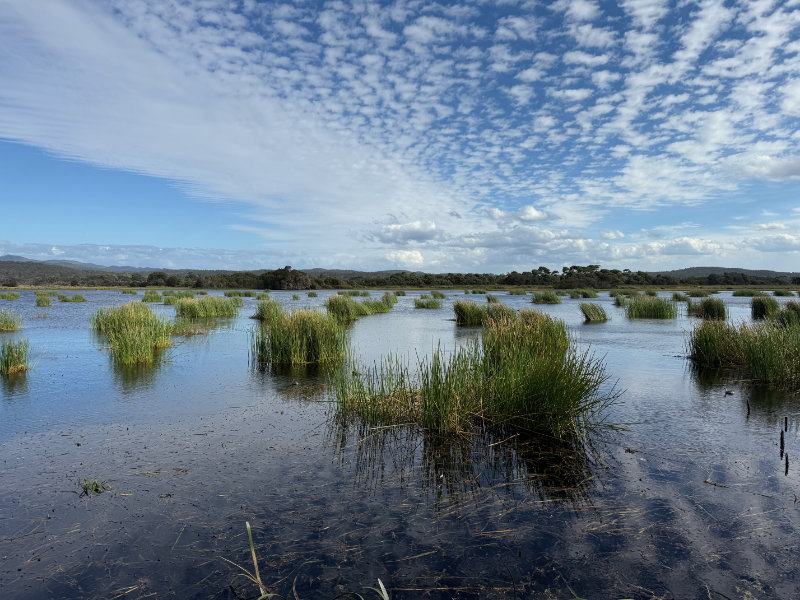 Narawntapu NP