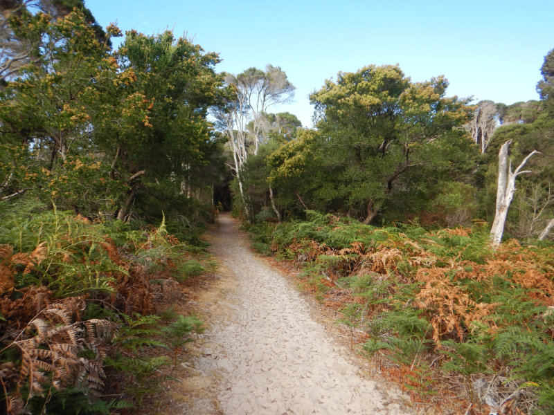 Narawntapu NP