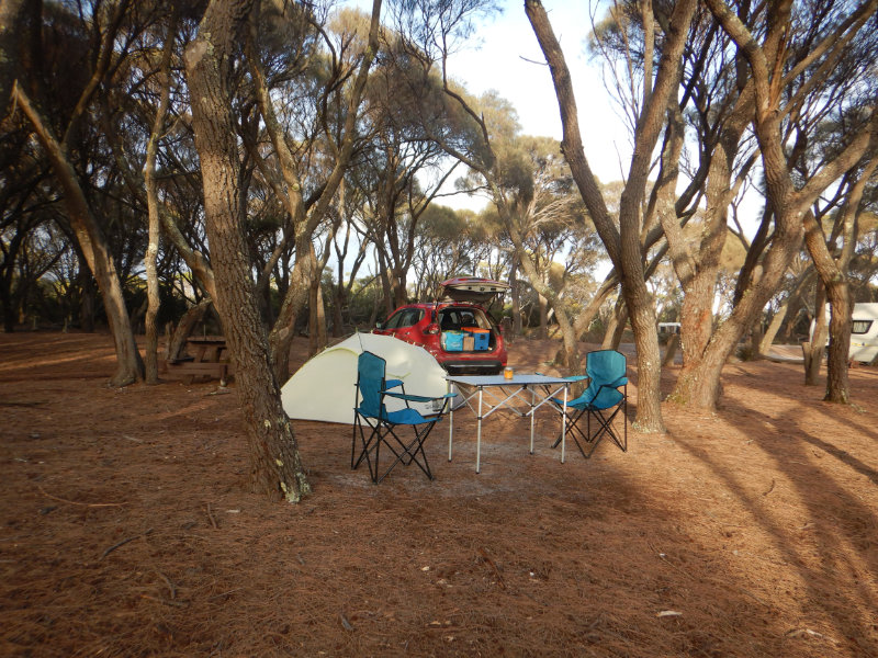 Mt William NP