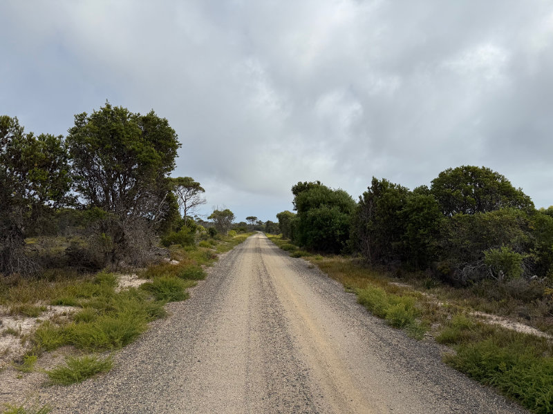 Mt William NP