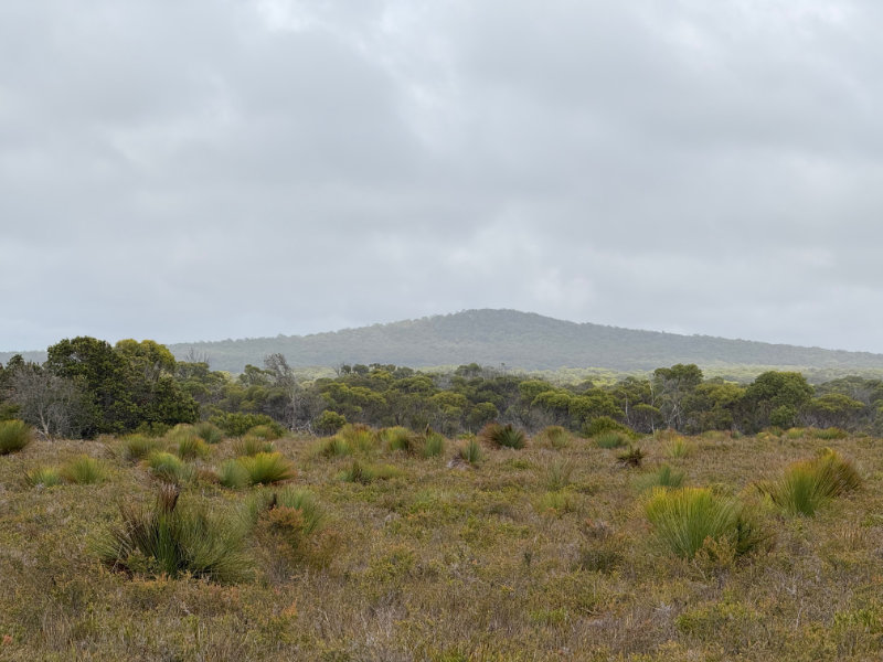 Mt William NP