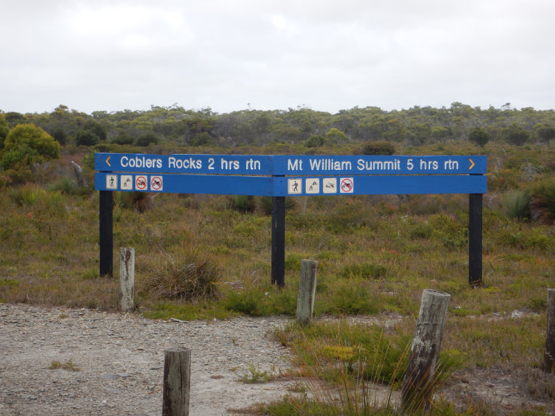 Mt William NP