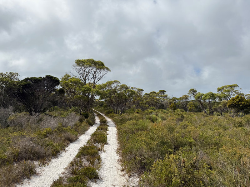 Mt William NP