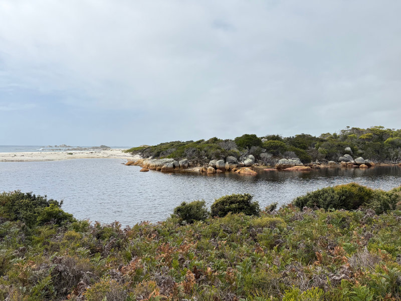 Mt William NP
