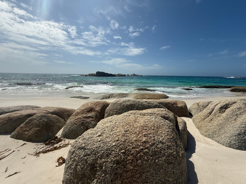 Mt William NP
