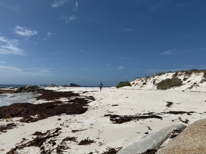 Mt William NP