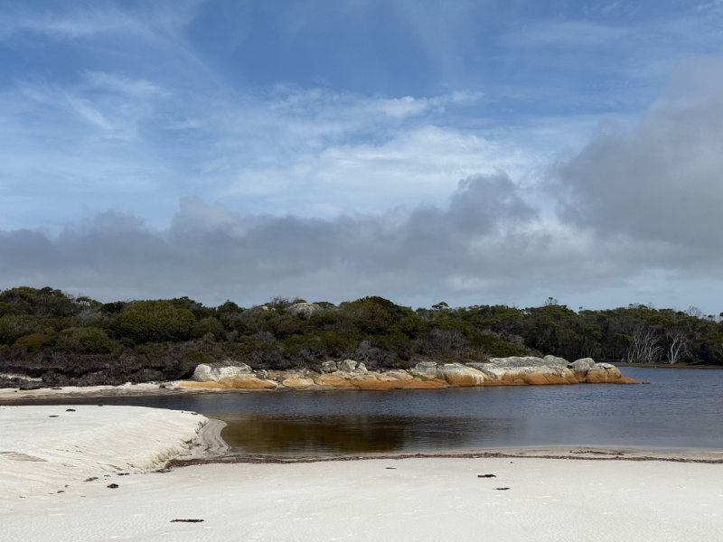 Mt William NP