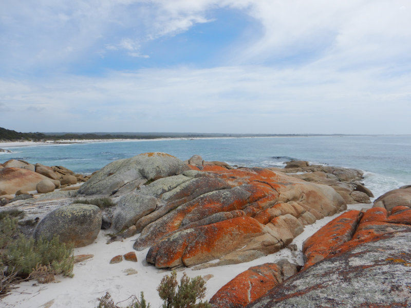 Mt William NP