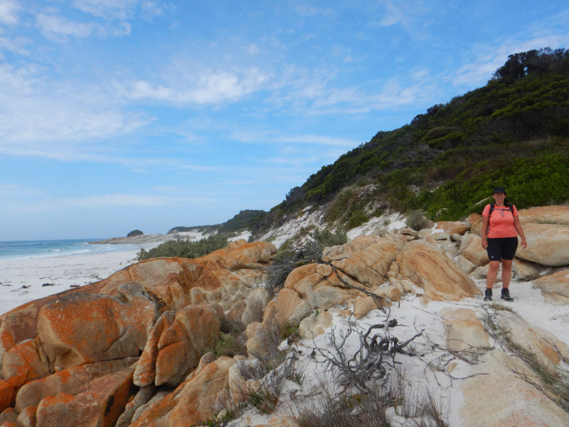 Mt William NP