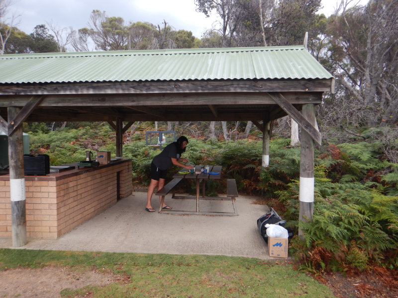 Mt William NP