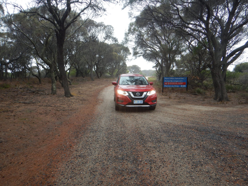 Mt William NP
