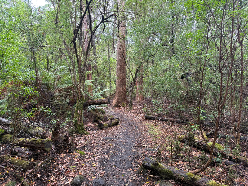 Halls Falls