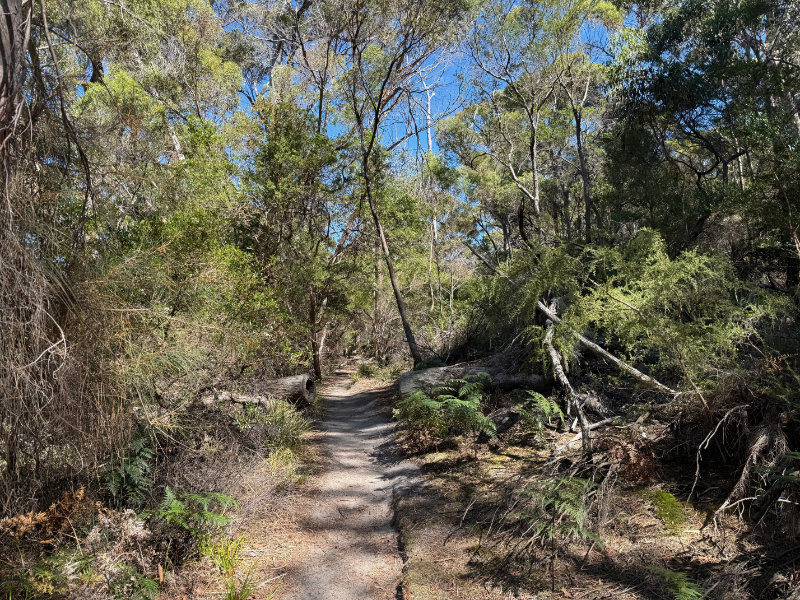 Freycinet NP
