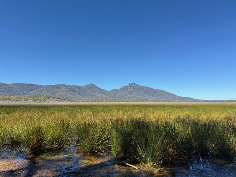 Freycinet NP