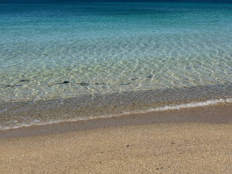 Freycinet NP