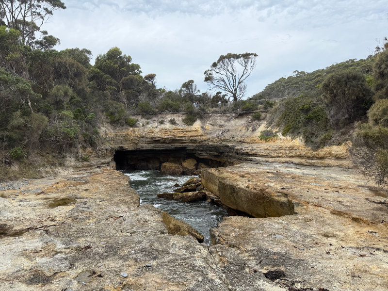 Blowhole