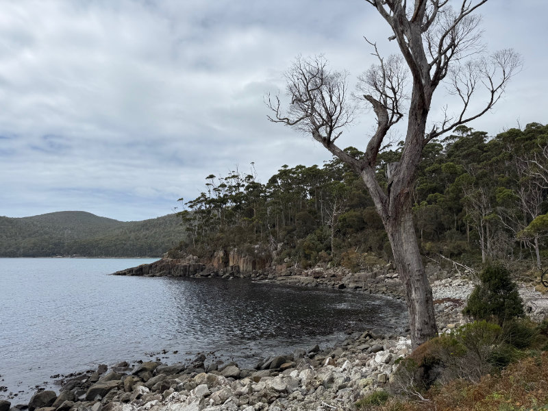 Tasman Coastal Trail