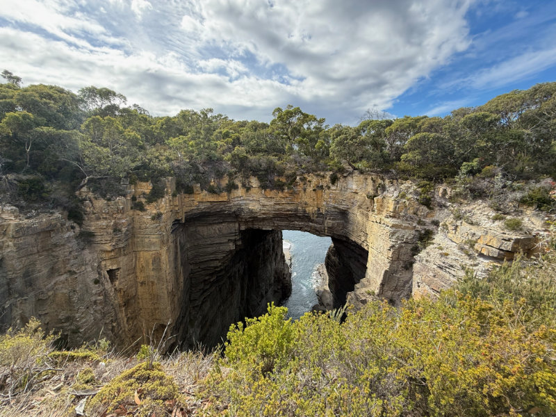 Tasman Arch