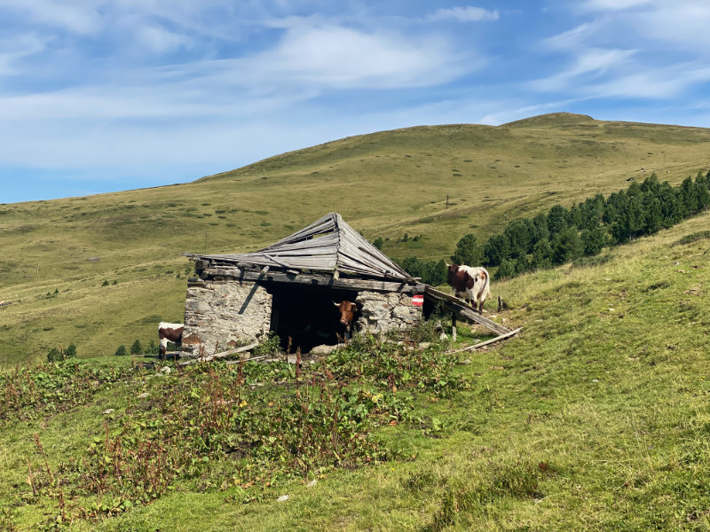 Schilcheralm