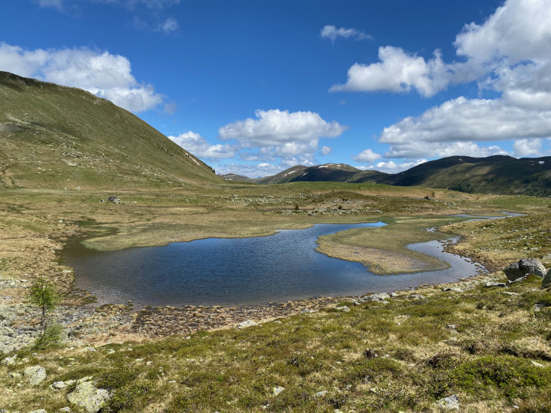 Rosaninsee