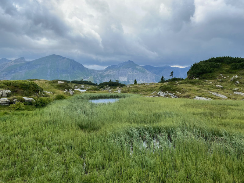 Krummschnabelsee