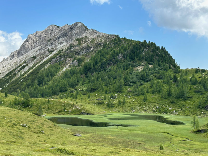 Wildalmsee