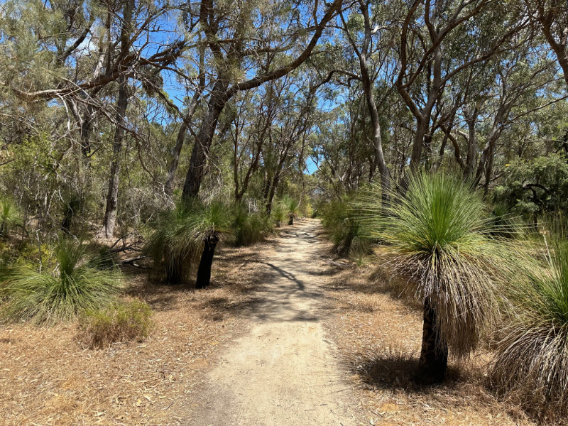 Yanchep NP