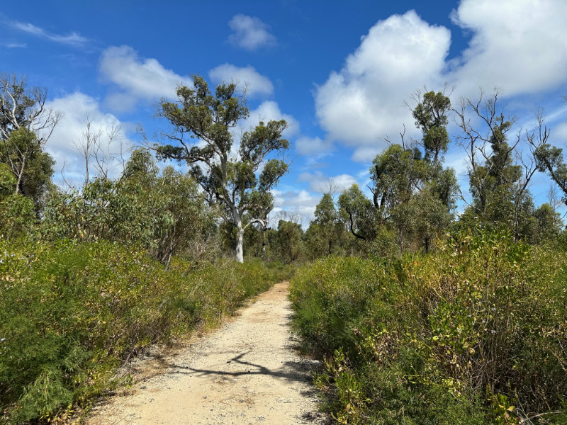 Yanchep NP