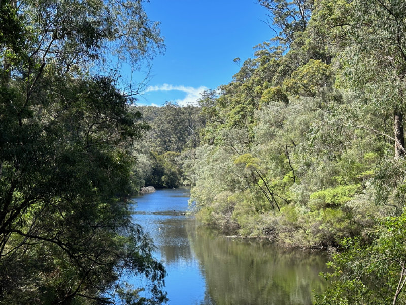 Warren NP