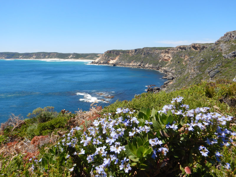 D'Entrecasteaux NP