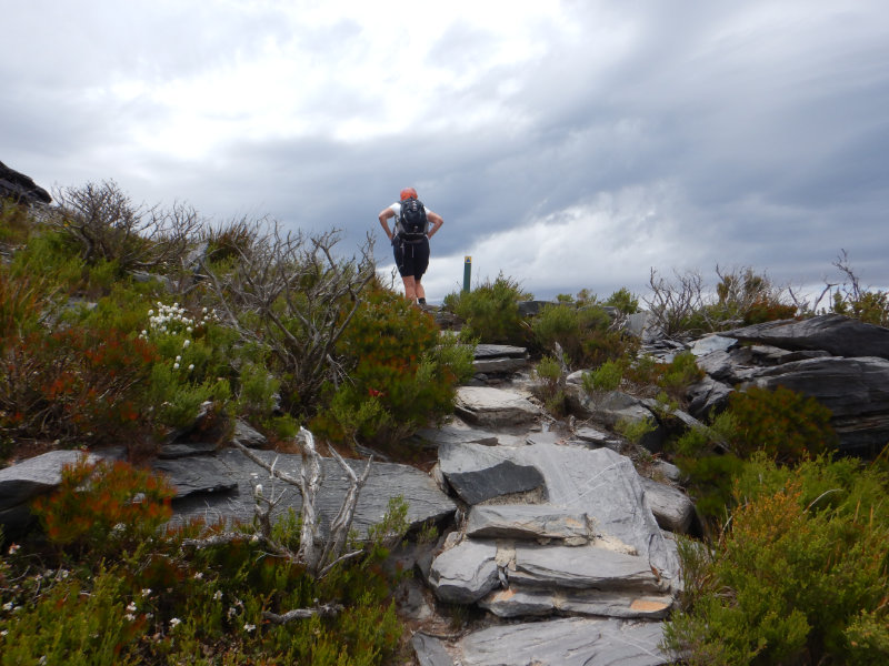 Stirling Range NP