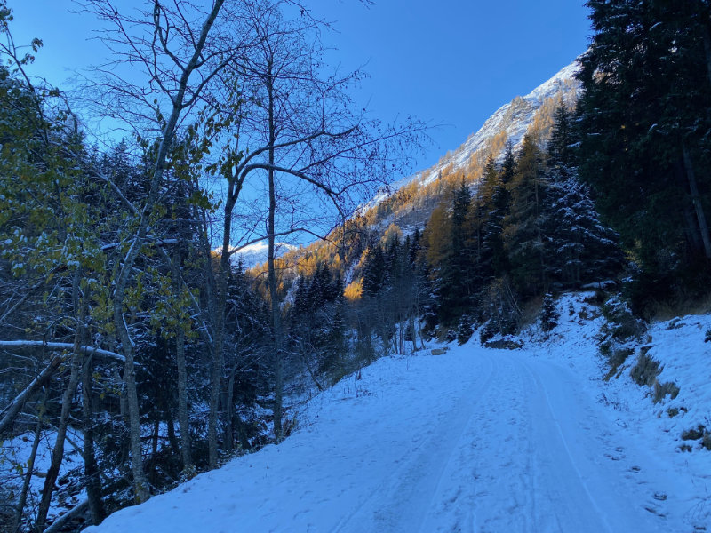 Hintermuhr